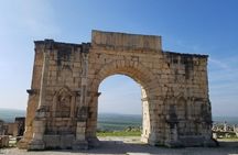 Excursion privée d’une journée à Meknes volubilis et Moulay Idris