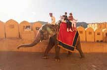 Luxury Golden Triangle Tour 5 Days