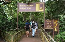 Enjoy the Iguazu falls and the "Devil's throat" from the Argentine side