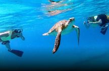 National Park Snorkeling Excursion 