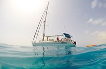 Sailing tour around the Lobos Island Natural Park / 4h