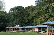 2-Day Tour in Corcovado, Sirena and San Pedrillo Stations
