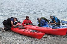 Inside Passage Sea Kayaking in Haines