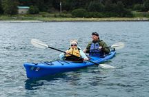 Inside Passage Sea Kayaking in Haines