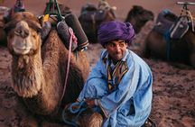 Zagora Overnight Adventure 