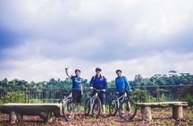 4 Hours Cycling in the Nature at Pulau Ubin Singapore