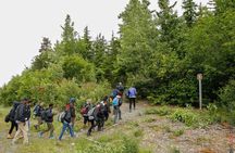 Full-Day Mount Riley Hike from Haines