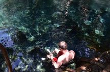 Kikuletwa Hotspring Day Tour