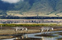 Ngorongoro Day Trip