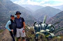 Hiking Tour in the Andes Mountains - Half Day Trip from Santiago