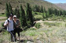 Hiking Tour in the Andes Mountains - Half Day Trip from Santiago