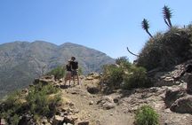 Hiking Tour in the Andes Mountains - Half Day Trip from Santiago