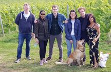 Owners vineyard tour and tasting at Oastbrook