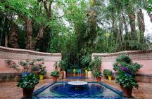 Marrakech Tour Gardens Majorelle, Menara & Anima Gardens