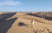 Agadir Desert Trip by Jeep and berber village 1 day
