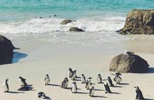 Private Cape Peninsula Tour 