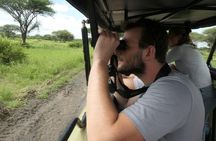 Serengeti, Ngorongoro and Tarangire 4 Days Safari