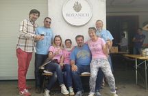 Wine & more Tour , private guided wine tour from POREC, UMAG ,Istria