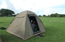 Serengeti, Ngorongoro and Tarangire 4 Days Safari