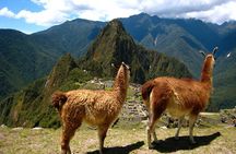 Machu Picchu Day Tour from Cusco Small Group 