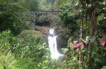Heavenly Hamakua: From Kona