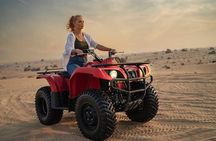 Evening Desert Safari with BBQ Dinner