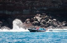 Kona Snorkeling: Beat the Crowd to Kealakekua Bay