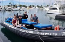 Pelagic Wildlife Excursion