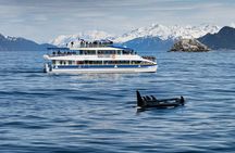 Kenai Fjords National Park Glacier & Wildlife Cruise