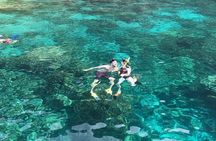 Kona Snorkeling: Beat the Crowd to Kealakekua Bay