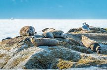 Bowen Island Dinner and Zodiac Boat Tour by Vancouver Water Adventures