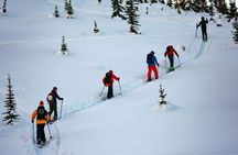Whistler Backcountry Skiing and Splitboarding