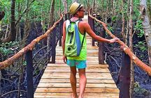 Half-Day Walking Tour in Jozani Jungle