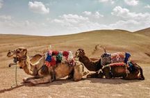 3 Days: Private Desert Tour from Marrakech to Merzouga via Atlas & Camel Trek