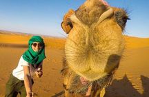 Marrakech to the Desert – 3 Days to Merzouga Sahara Desert