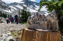 Whistler Glacier Discovery Tour