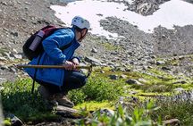 Whistler Glacier Discovery Tour