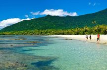 Private Cape Tribulation & Mossman Gorge Day Tour