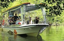 Private Cape Tribulation & Mossman Gorge Day Tour
