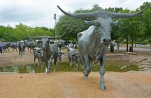 Dallas Open Air Van Tour