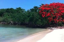 Private Half Moon Beach Tour from Montego Bay