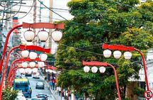 Private Tour: São Paulo's Top Attractions–6 Hours, Hotel/Airport