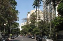 Private Jewish Tour: São Paulo Synagogues & Museums (5 Hours)