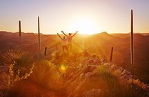 Lake Eyre and Flinders Ranges 4-Day Small Group 4WD Eco Tour