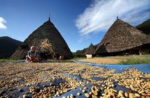 2Days - Private Cultural Tour to Wae Rebo Village