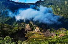 2Days - Cultural Tour to Wae Rebo Village 