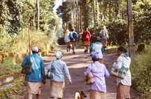 Coorg The Scotland of India from Bangalore