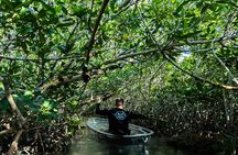 Guided Clear Kayak Eco-Tour Near Key West