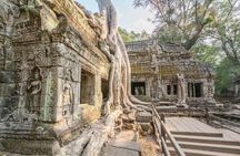 Full-Day Angkor Temple Bike Tour from Siem Reap Inclusive of Lunch