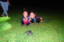 Okinawa Iriomotejima Night Adventure Tour